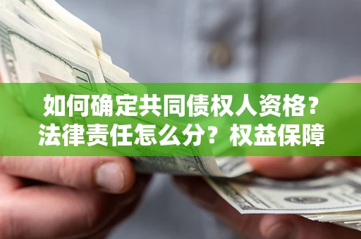北京如何确定共同债权人资格？法律责任怎么分？权益保障技巧揭秘！