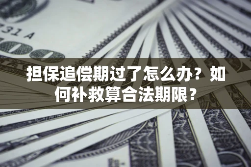 北京担保追偿期过了怎么办？如何补救算合法期限？