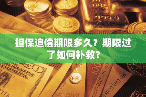 北京担保追偿期限多久？期限过了如何补救？