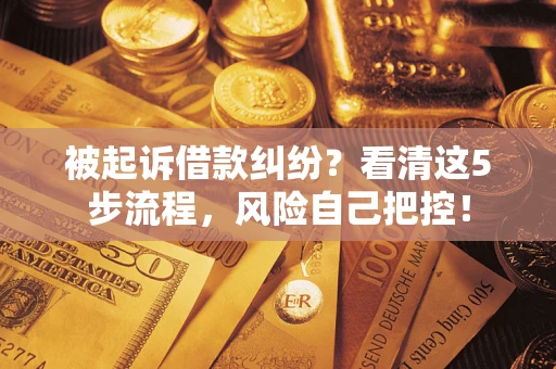 北京被起诉借款纠纷？看清这5步流程，风险自己把控！