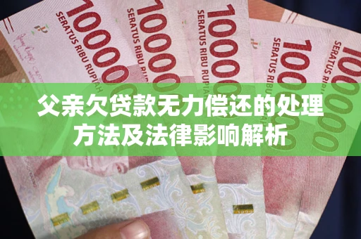 北京父亲欠贷款无力偿还的处理方法及法律影响解析